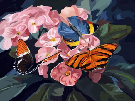 Живопись на цветном холсте "Бабочки на цветах", 40 х 50 см. 806-AB-C