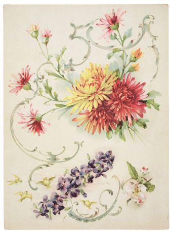 Цветочные композиции. Литография. Западная Европа, 1880-е годы