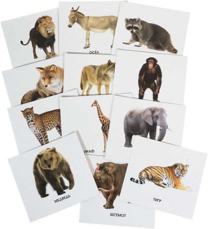 Улыбка Обучающие карточки Кто живет в зоопарке