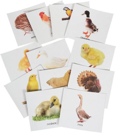 Улыбка Обучающие карточки Домашние птицы