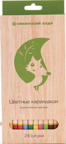 СКФ Набор цветных карандашей Сибирский кедр Eco 24 шт