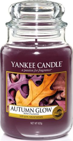 Свеча ароматизированная Yankee Candle "Осенний свет", в стеклянной банке