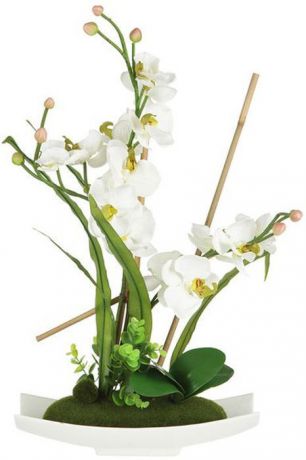 Декоративные цветы Dream Garden "Орхидея белая", на подставке, 34,5 х 13 х 56 см. DG-15025-AL