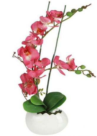 Цветы декоративные Dream Garden "Орхидея", в вазе, 17 х 11,5 х 51,5 см