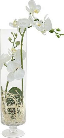 Цветы декоративные Dream Garden "Орхидея белая", в стеклянной вазе