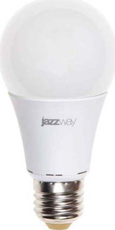 Лампа светодиодная "Jazzway", грушевидная, цвет: белый, PLED-ECO-A60, 11Вт, 5000К, E27, 840лм, 230В. 4895205006157