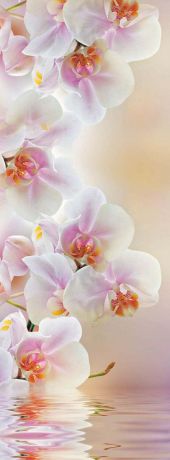 Фотообои Milan "Светлая орхидея", текстурные, 100 х 270 см