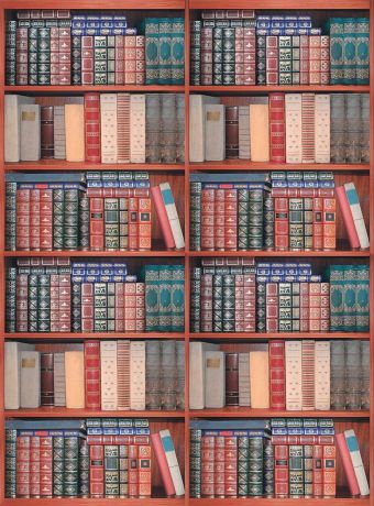 Фотообои Milan "Книжный шкаф", текстурные, 200 х 270 см. M 229