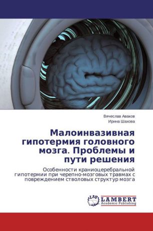 Малоинвазивная гипотермия головного мозга. Проблемы и пути решения