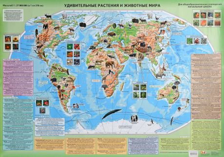 Удивительные растения и животные мира. Настенная карта