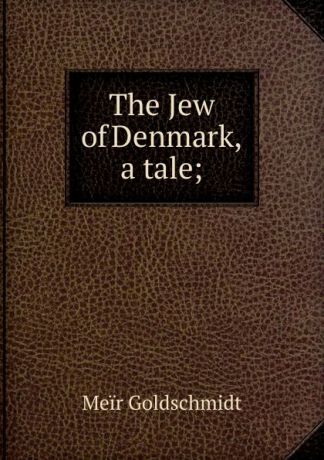 Meir Goldschmidt The Jew of Denmark, a tale;