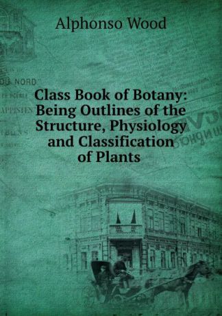 Alphonso Wood Class Book of Botany: Being Outlines of the Structure, Physiology and Classification of Plants .