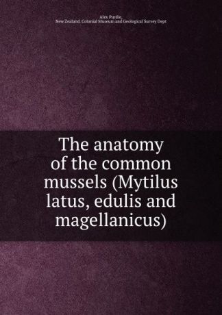 Alex Purdie The anatomy of the common mussels (Mytilus latus, edulis and magellanicus)