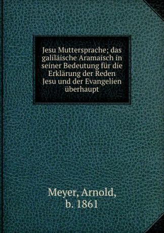 Arnold Meyer Jesu Muttersprache; das galilaische Aramaisch in seiner Bedeutung fur die Erklarung der Reden Jesu und der Evangelien uberhaupt