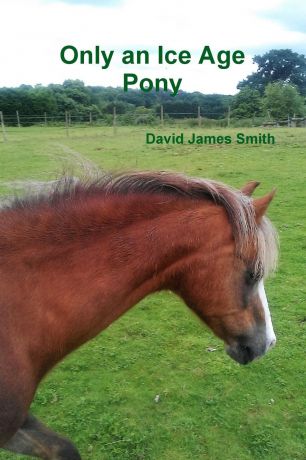 David James Smith Only an Ice Age Pony