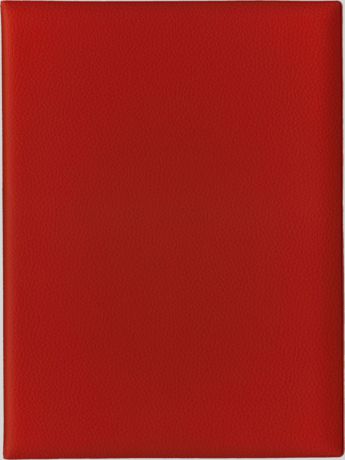 Папка с файлами Стрекоза, A4+, 1684, красный