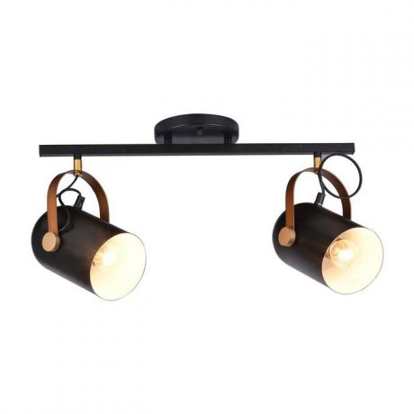 Настенно-потолочный светильник Idlamp 364/2A-Black, черный