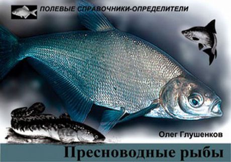 Олег Глушенков Пресноводные рыбы. Карманный определитель