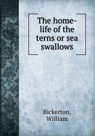 William Bickerton The home-life of the terns or sea swallows