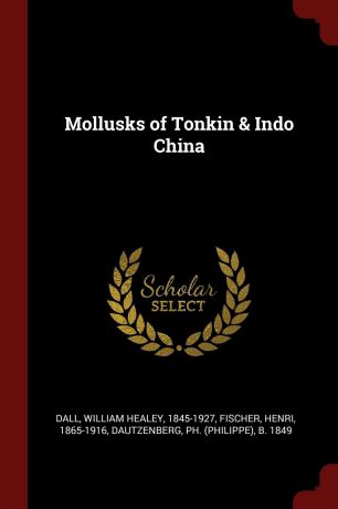 William Healey Dall, Henri Fischer, Ph b. 1849 Dautzenberg Mollusks of Tonkin . Indo China