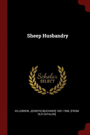 Sheep Husbandry
