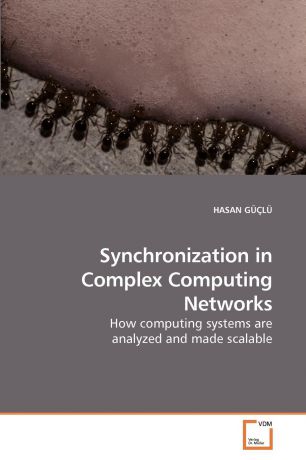 HASAN GÜÇLÜ Synchronization in Complex Computing Networks