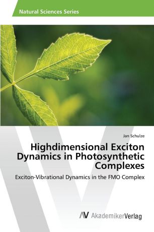 Schulze Jan Highdimensional Exciton Dynamics in Photosynthetic Complexes