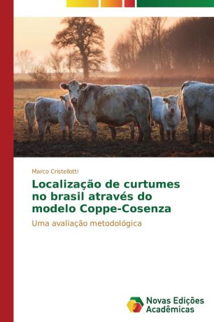 Cristellotti Marco Localizacao de curtumes no Brasil atraves do modelo Coppe-Cosenza
