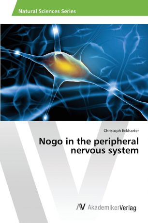 Eckharter Christoph Nogo in the peripheral nervous system