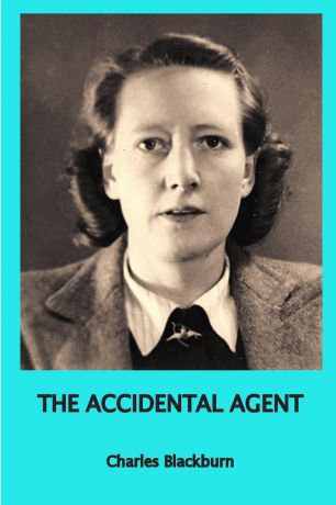 Robbie Robinson The Accidental Agent