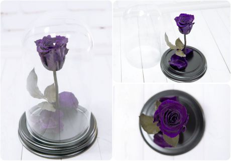 Сувенирный набор Мастерская оригинальных подарков «NeoGift» Роза в колбе № 2 Дарк Виолет, BB2-43