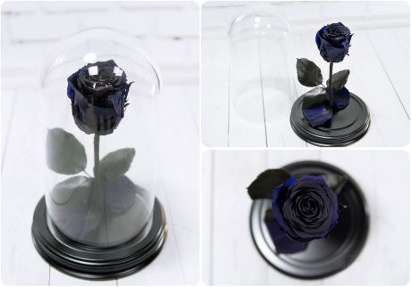 Сувенирный набор Мастерская оригинальных подарков «NeoGift» Роза в колбе № 2 Магма, BB2-09