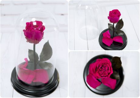 Сувенирный набор Мастерская оригинальных подарков «NeoGift» Роза в колбе № 2 Шокин Пинк, BB2-62
