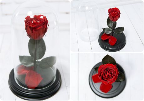Сувенирный набор Мастерская оригинальных подарков "NeoGift" Роза в колбе № 2 Верона Ред, BB2-93