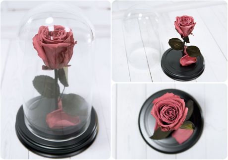 Сувенирный набор Мастерская оригинальных подарков "NeoGift" Роза в колбе № 2 Фламинго, ВВ2-66