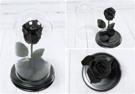 Сувенирный набор Роза в колбе № 2 Черный