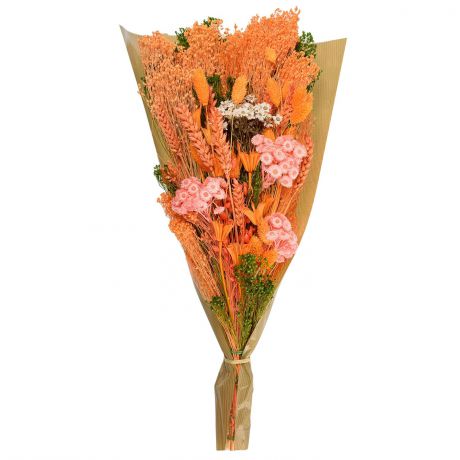 Цветы сухие и стабилизированные Букет Вертикаль, оранжевый