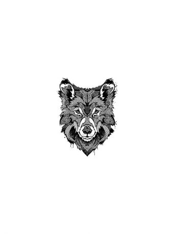 Переводное тату МнеТату “Пестрый волк”