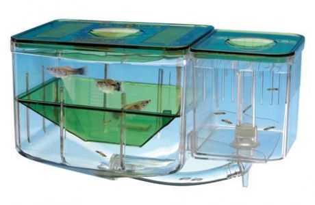 Отсадник Penn Plax Aqua Nursery для рыб (20 × 13 × 9 см, )