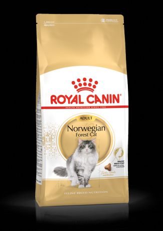 Сухой корм Royal Canin Norwegian forest adult для норвежских лесных кошек (2 кг)