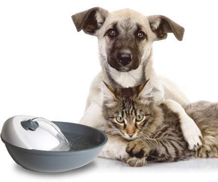 Автоматическая поилка Feed-Ex Spring для кошек и мелких пород собак (Серый/белый)