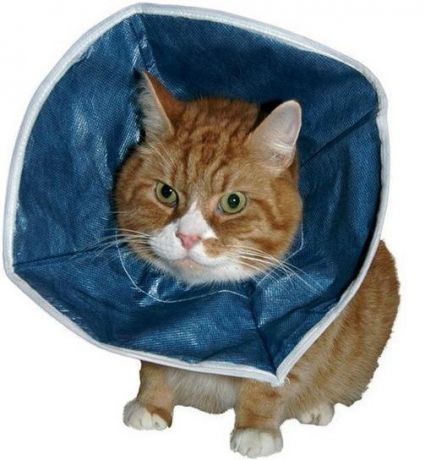 Защитный воротник Kruuse Buster Soft Collar мягкий для кошек и маленьких собак (12 см)