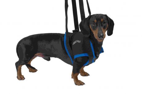 Вожжи Kruuse Walkabout Harness на передние конечности для собак (L)