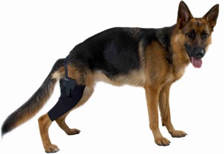 Протектор на левое колено Kruuse Rehab Knee Protector для собак (L)