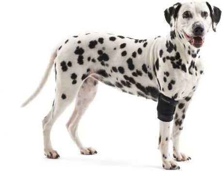 Протектор на локтевой сустав Kruuse Rehab Elbow Protector для собак (L)