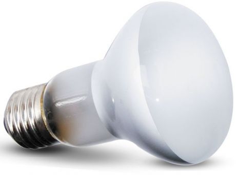 Лампа Repti-Zoo BeamSpot точечного нагрева для террариумов (35 Вт)