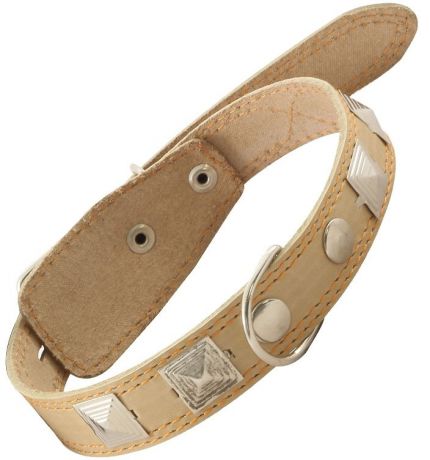 Ошейник Гамма кожаный c кольцом и украшением для собак (25 х 550 мм, В заказе будет случайный цвет)