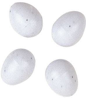Яйца муляжи Ferplast FPI 4310 (4 шт.) для птиц
