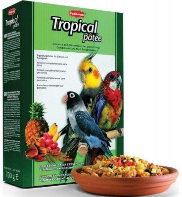 Корм Padovan Tropical Patee комплексный с фруктами для средних попугаев (700г, )