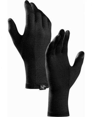 Перчатки Arcteryx Arcteryx Gothic Glove